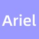 Ariel拆车件