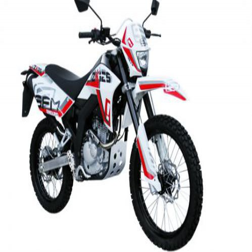 SACHS ZX 125 Enduro Modell 201：