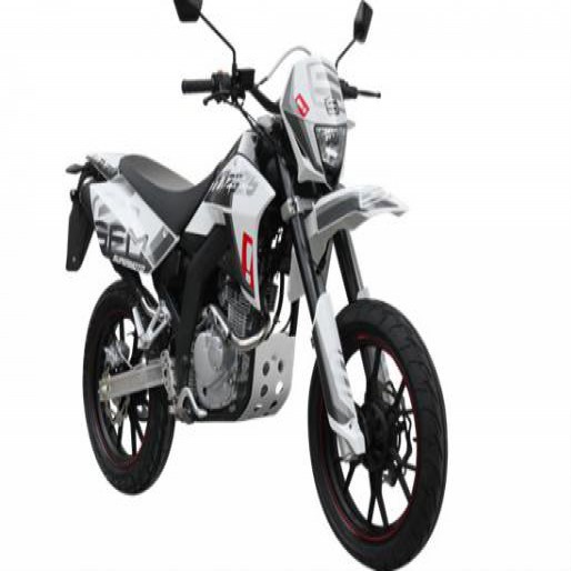 ZZ 125 Supermoto Modell