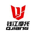 钱江拆车件