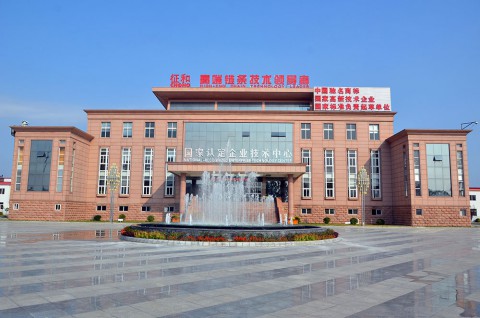 青岛征和工业股份有限公司