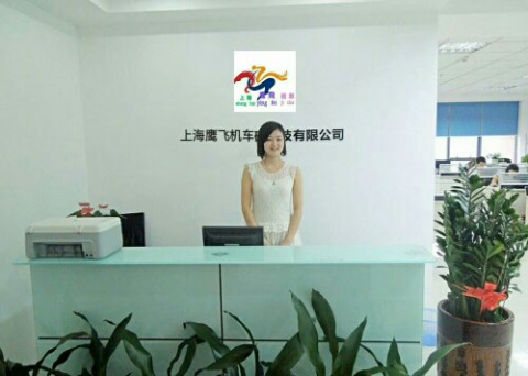 上海鹰飞机车有限公司
